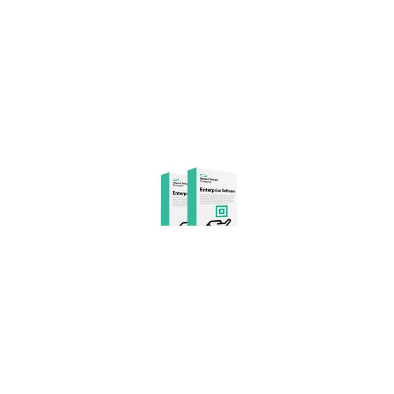 HPE StoreOnce VSA Server 100TB LTU
